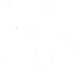 Meet your Posher, Alex Morgan